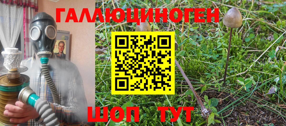 Губаха  Галлюциногенные грибы Cubensis  Вход с VPN  Псилоцибиновые грибы Cubensis 
