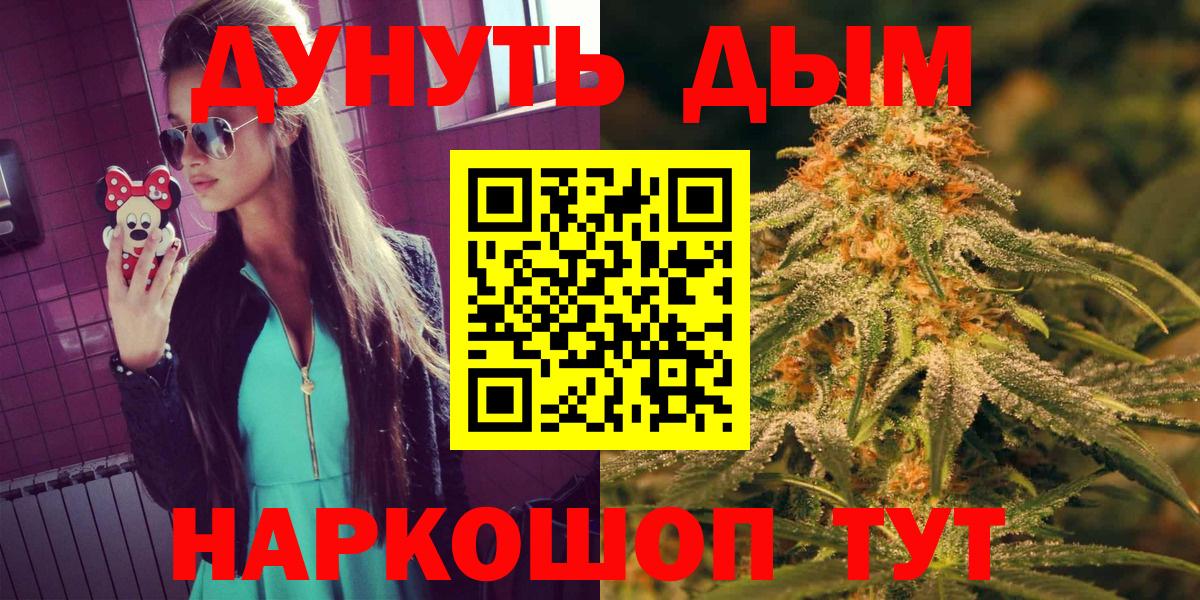 Бошки Шишки планчик Губаха